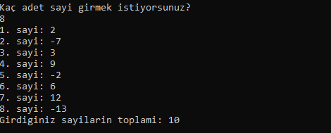 Girilen Sayıların Toplamını Bulan Program